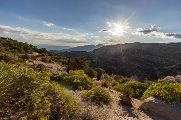 windy point vista